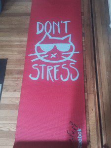 Reebok Yoga Mat Cat